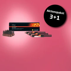IDS25-iCem 3+1